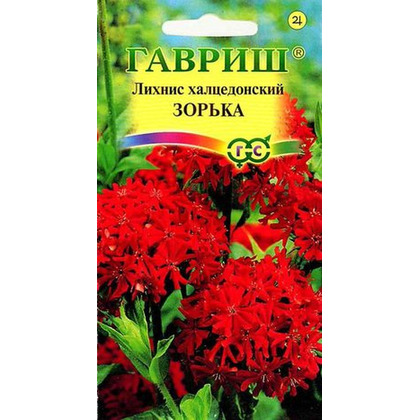 Лихнис Халцедонский Зорька 01г ГШ