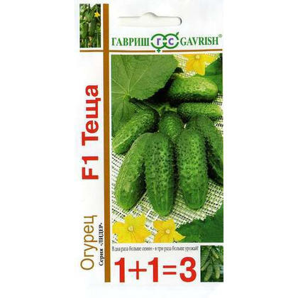 теща 1