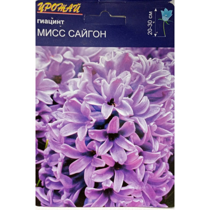 мис сайгон
