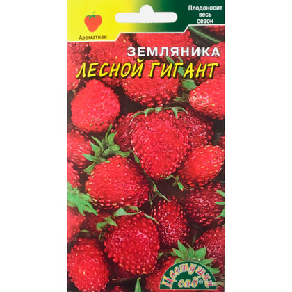 Земляника Лесной гигант 003г ЦС