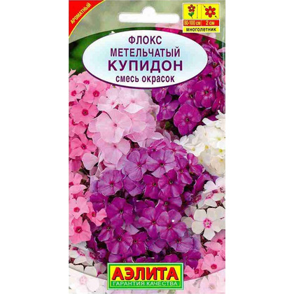 Флокс Метельчатый Купидон 01г Аэлита