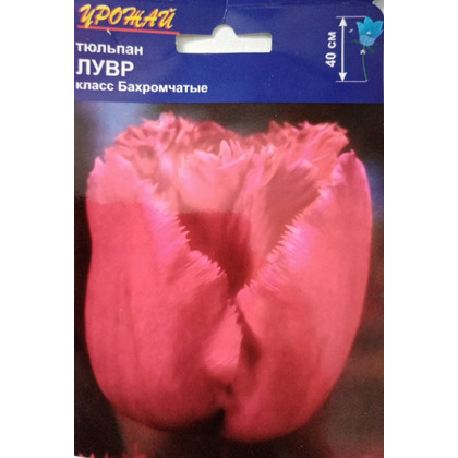 лувр