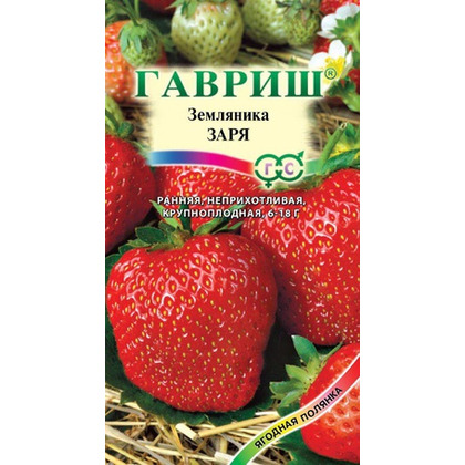 Земляника Заря 001г ГШ