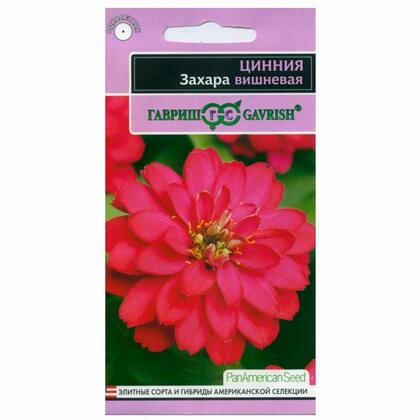 Цинния Захара вишневая 6штг ГШ