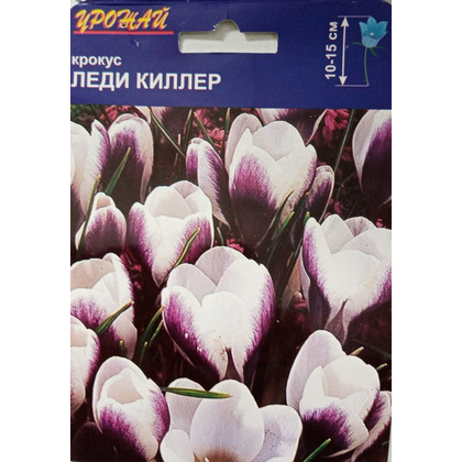 леди килер