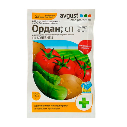 Ордан12.5 август