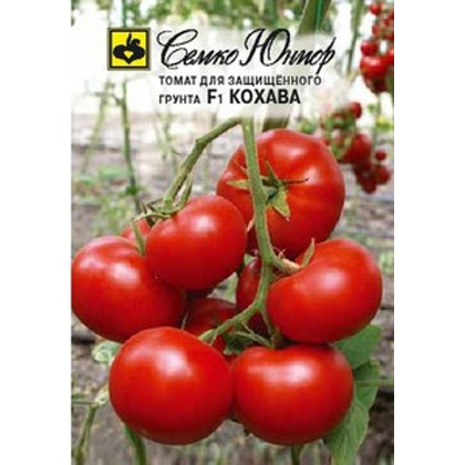 Томат Кохава 10шт Семко