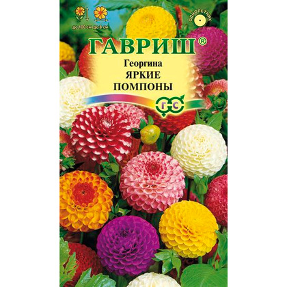 Георгина Яркие помпоны смесь 02гр ГШ