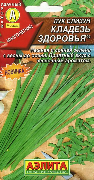 Лук Кладезь здоровья  Аэлита цв