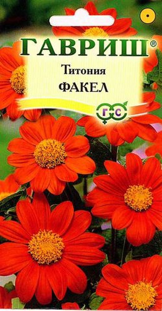 Титония Факел 05г ГШ