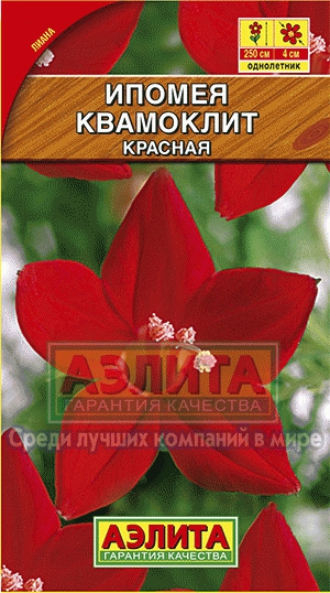 Ипомея Квамоклит красная 05г Аэлита цв