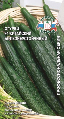 Огурец Китайский  болезнеустойчивый СеДек