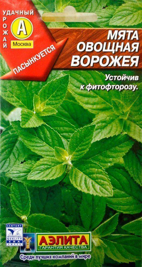 Мята Ворожея 01г Аэлита