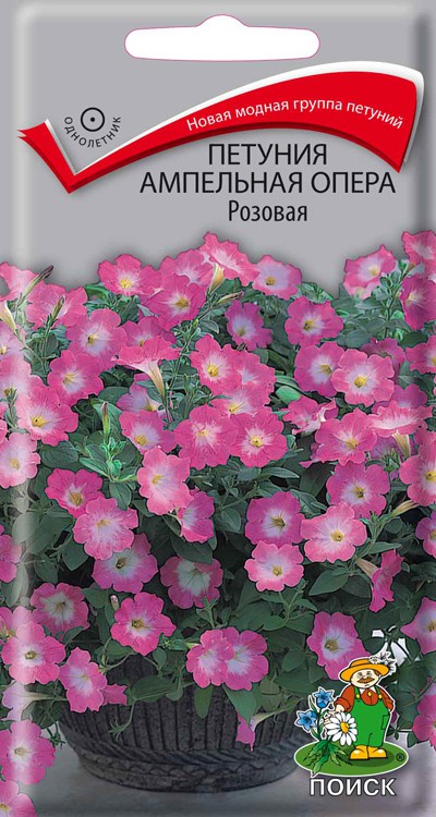 Петуния Опера розовая Поиск