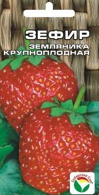 Земляника Зефир 10шт Сибирский сад