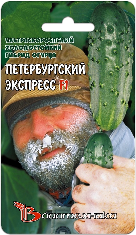 Огурец Петербургский экспресс 8шт Биотехника